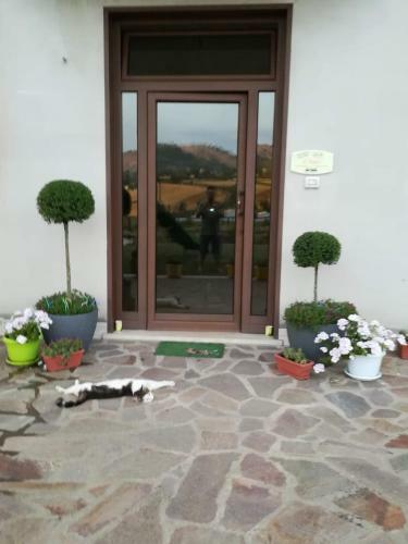 Il Faggio 17 B&B Artena