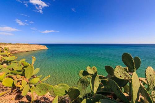 Apartamento Yellow-house 100 Meters From The Sandy Beach