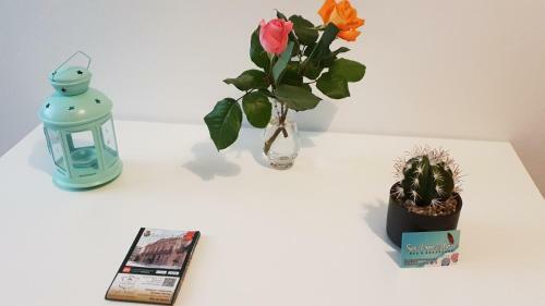 Bed & Breakfast Sea Room Aspra