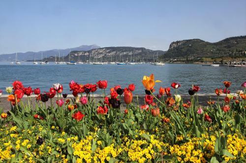 Hotel Albergo Fiorita