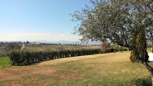 Apartamento Agriturismo Melograno D'oro