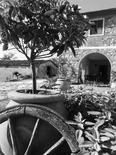 Bed & Breakfast Podere Il Sasso