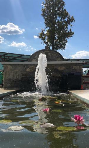 Bed & Breakfast Podere Il Sasso
