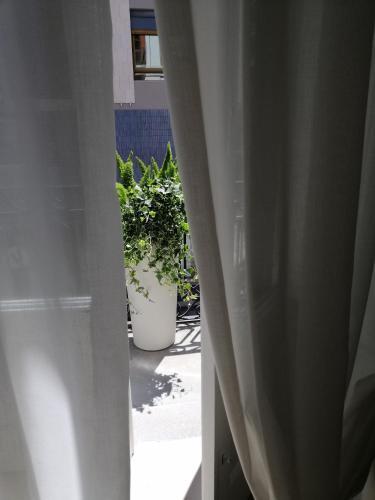 Bed & Breakfast Bari 102