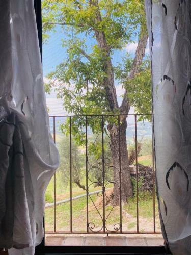 Bed & Breakfast Agriturismo Flar�