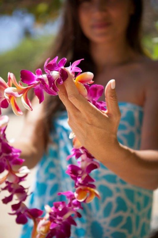Hotel Turtle Bay Resort
