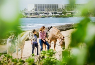 Hotel Turtle Bay Resort