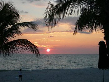 Hotel Staybridge Suites Naples-gulf Coast