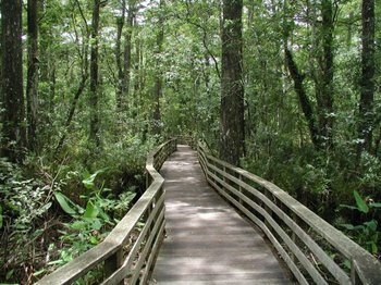 Hotel Staybridge Suites Naples-gulf Coast