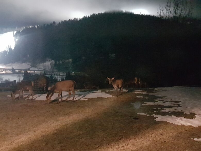 La Lince Lodge