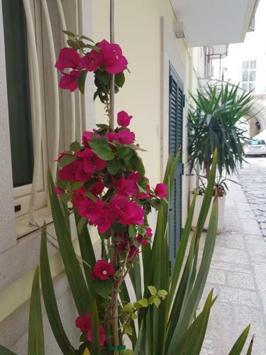 Bed & Breakfast Arco Gentile B & B