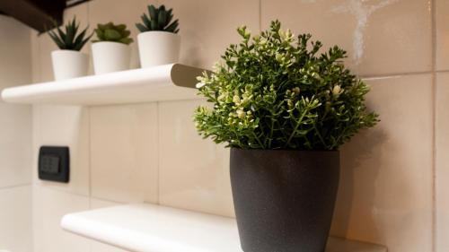 Apartamento Italianway - Piella 5