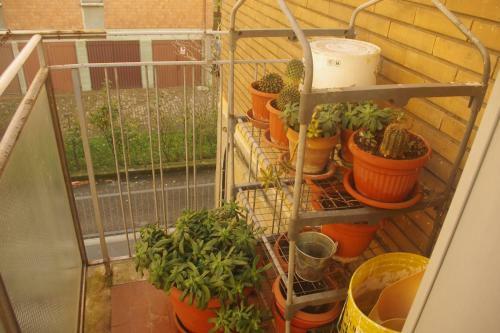 Apartamento Casa Roberta E Gilberto