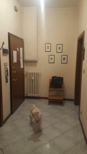 Apartamento Casa Roberta E Gilberto