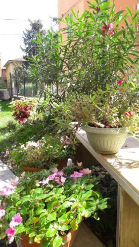 Apartamento Appartamenti Borghetto San Donato 105