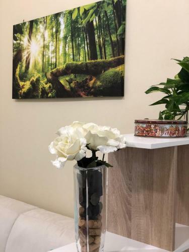 Apartamento Sofihome