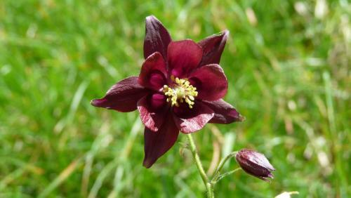 Berghotel Schlemmer