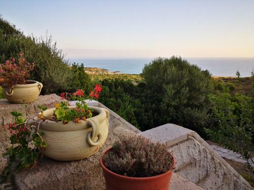 Hostal S'abba Druche Spiagge