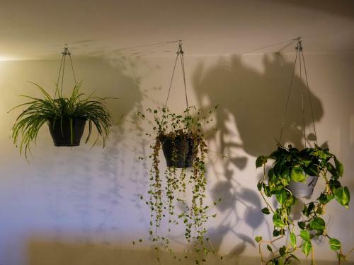 Apartamento The Paraglider House