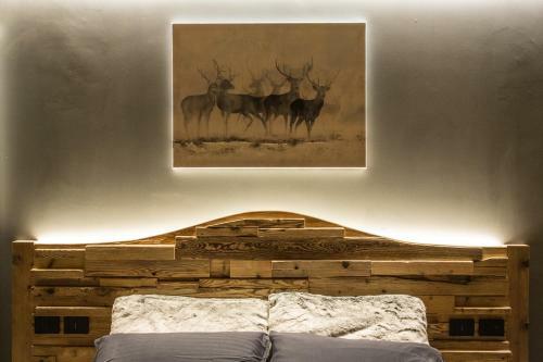 Hostal Alpine Rooms Guesthouse
