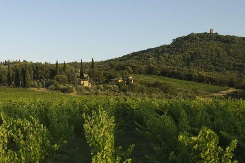 Villa Petrolo: B�ggina Country House