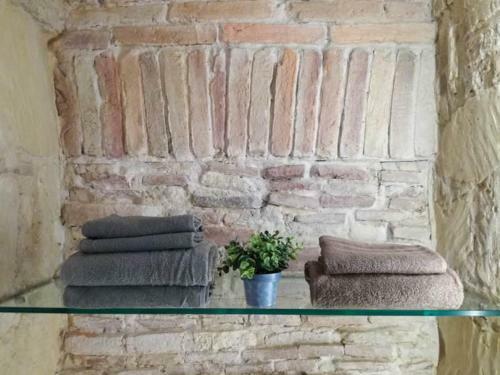 Hostal Domo 5 Teste