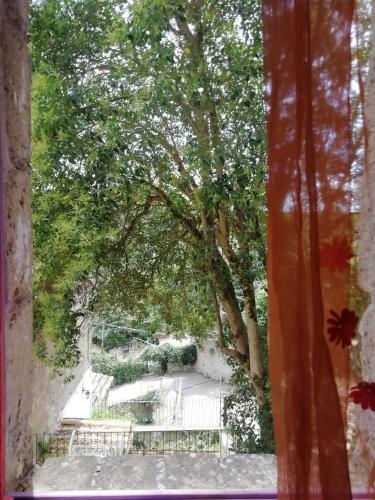 Bed & Breakfast Suite D'artista Calcata
