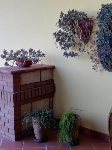 Bed & Breakfast Il Melograno