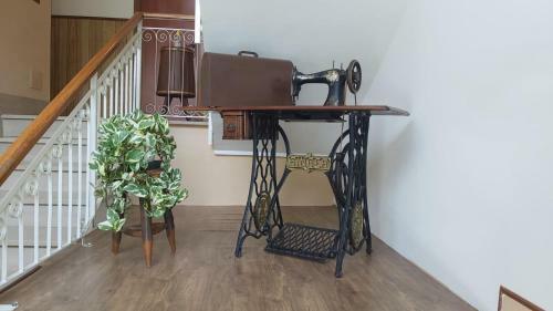 Hotel Orso Momo