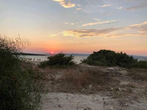 Villa Tonino 150 Mt Dal Mare E Spiaggia Ideale Per 2 Famiglie