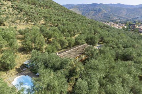 Villa Fico