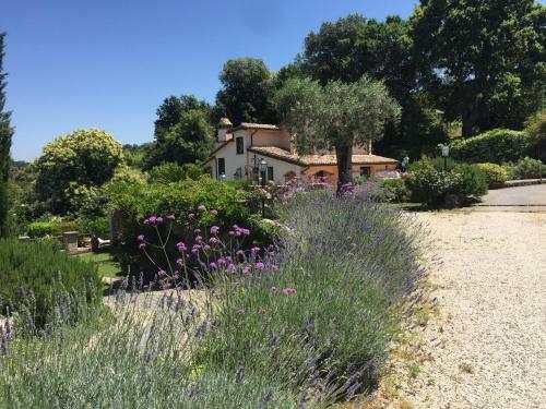 Villa Olivella