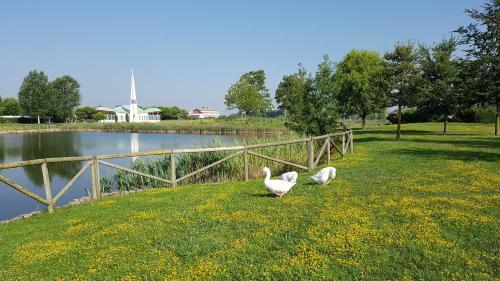 Apartamento Olmi Lido Altanea