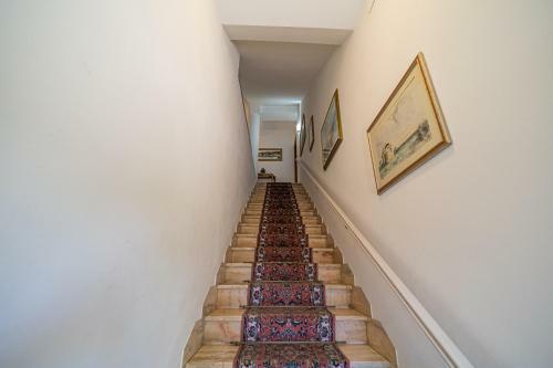 Villa Ray