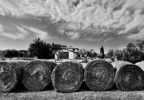 Agroturismo Orti Di Capalbio