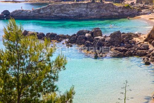 Apartamento Bilocale Lido Mare