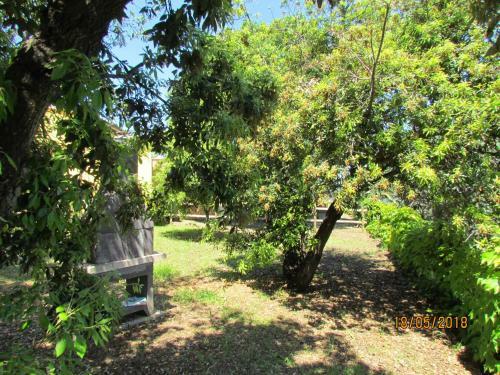 Apartamento Appartamenti I Tigli 1