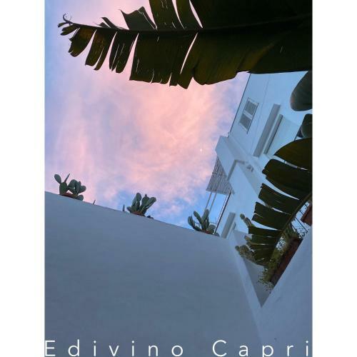Bed & Breakfast Suites Edivino Design Capri