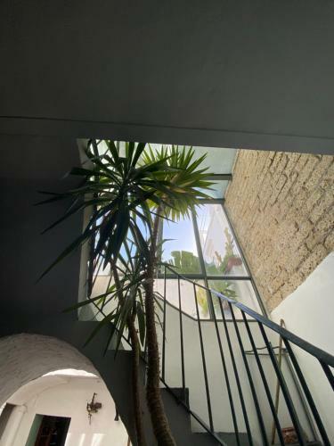 Bed & Breakfast Suites Edivino Design Capri