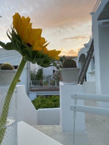Bed & Breakfast Suites Edivino Design Capri