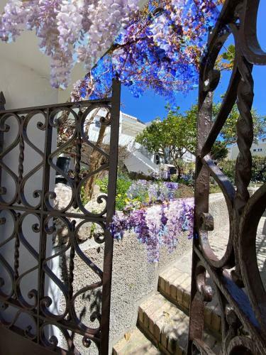 Bed & Breakfast Suites Edivino Design Capri