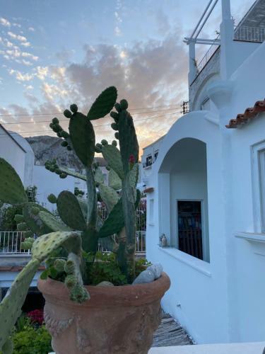 Bed & Breakfast Suites Edivino Design Capri