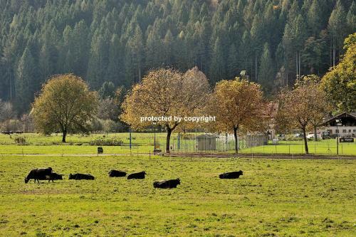 Apartamento Luxury House Campiglio Style