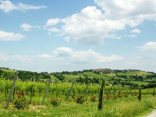 Beautiful Villa In Barchi With Private Pool