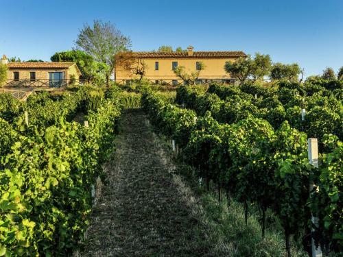 Beautiful Villa In Barchi With Private Pool