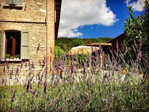 Bed & Breakfast Il Cardello Locanda