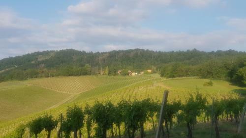 Agroturismo Il Biancospino