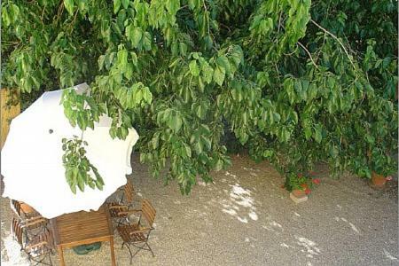 Castelfranco Di Sopra Villa Sleeps 2 Pool