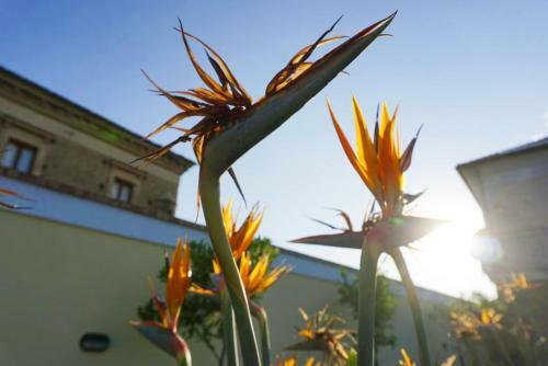 Bed & Breakfast A' Villetta
