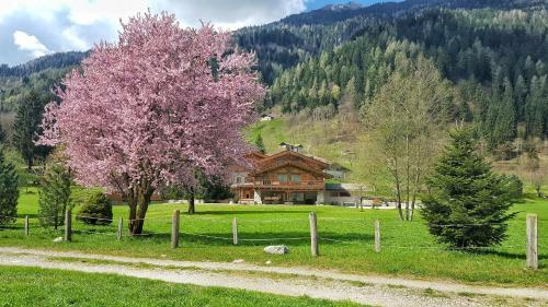 Hotel Chalet Alpino - Maso Del Brenta